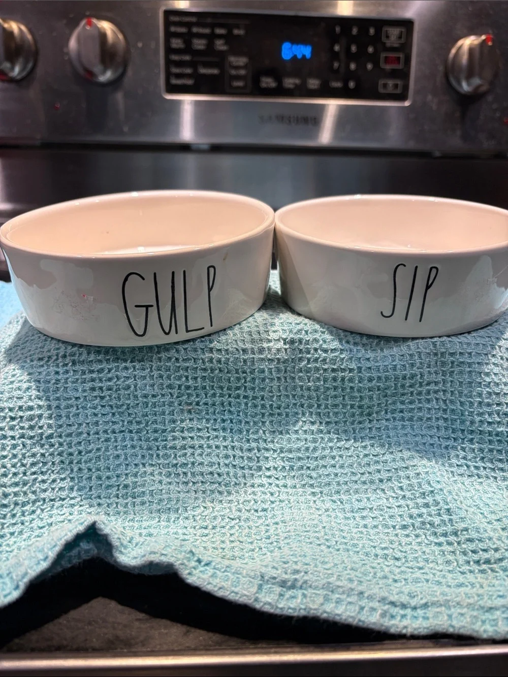 Rae Dunn Pet Dishes Gulp and Sip